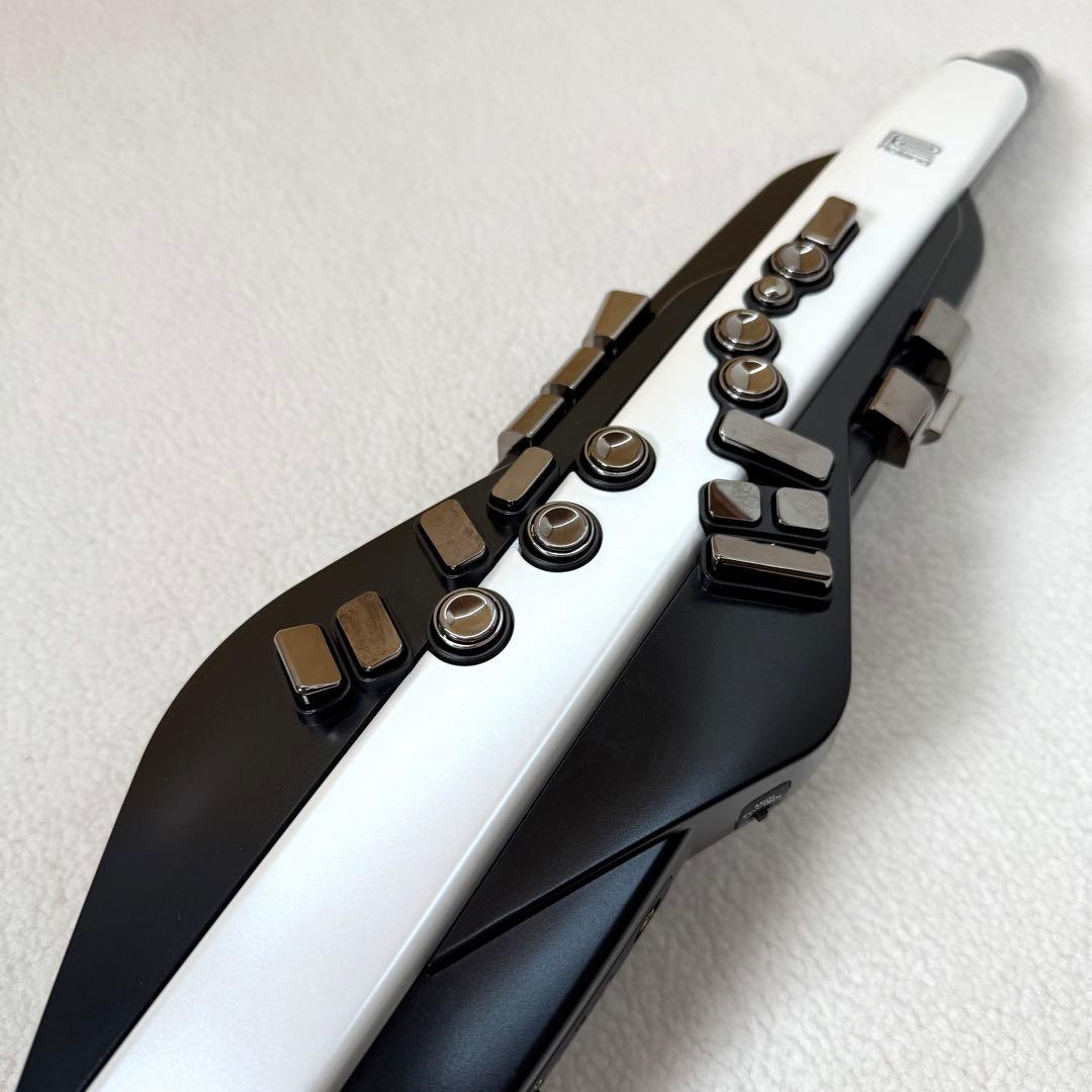 Roland Aerophon AE-20 ローランド エアロフォンAE-20