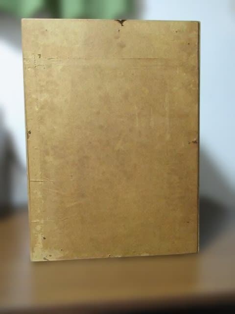 【天然】スズメバチの巣の標本（特注ガラスケース入り）採取地：日本国内