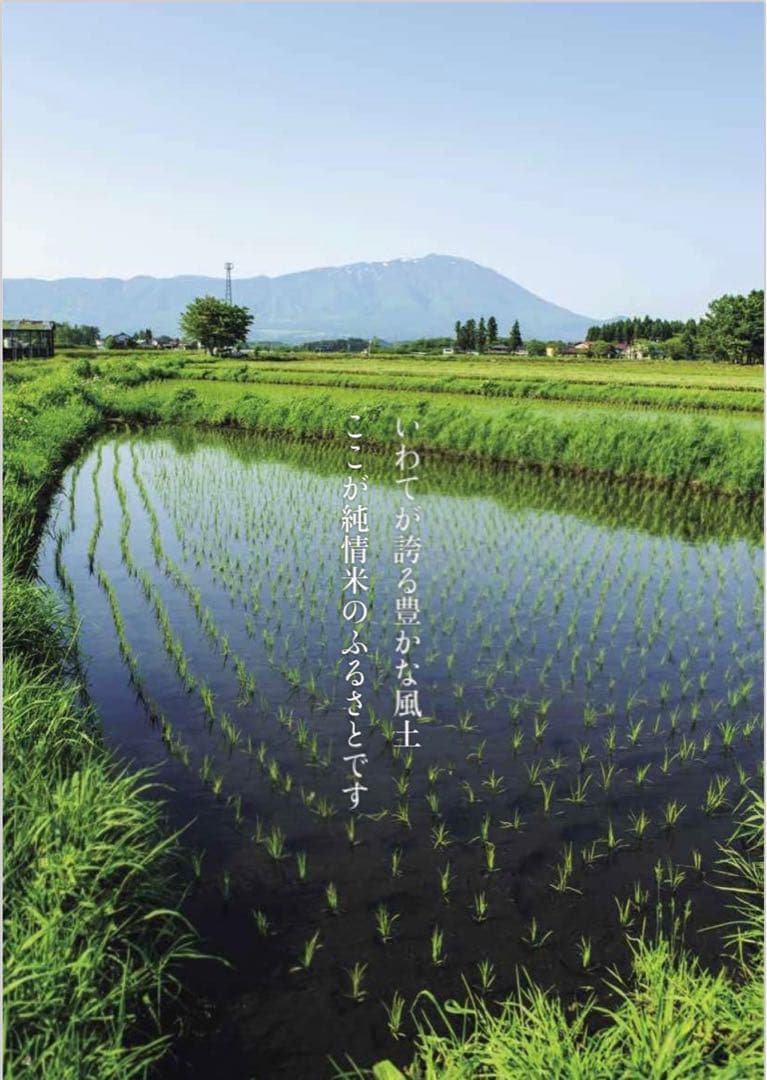 米　特別限定価格！白米【令和7年産岩手県産ひとめぼれ20kg】 (5kg×4)