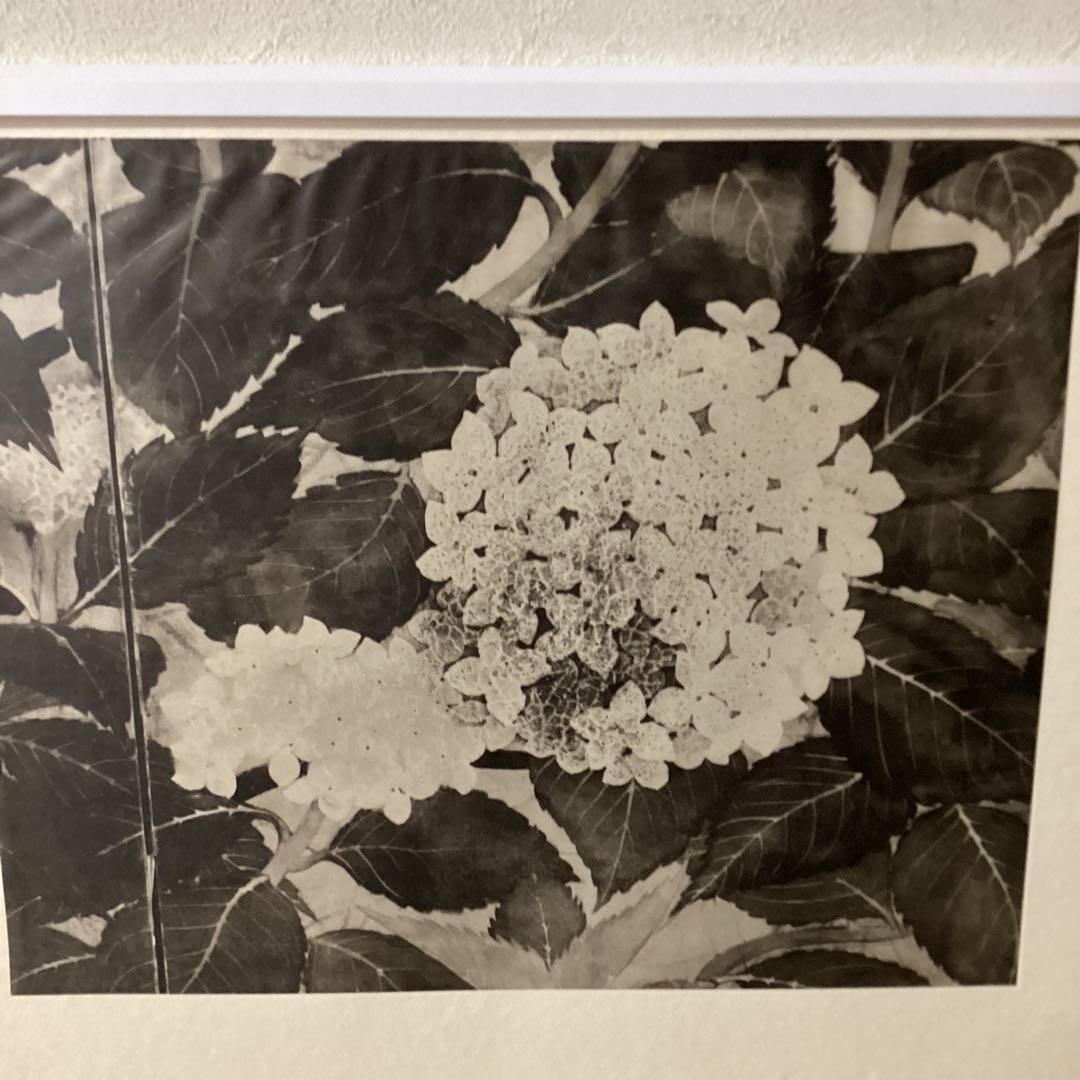 天才画家　速水御舟　便利堂監修　作品大作編　【翠苔緑芝部分紫陽花之図】NO 28