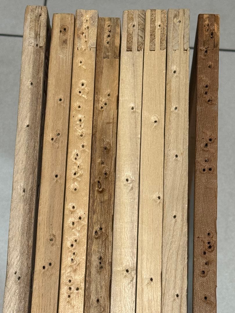 油彩キャンバス木枠F10号×8