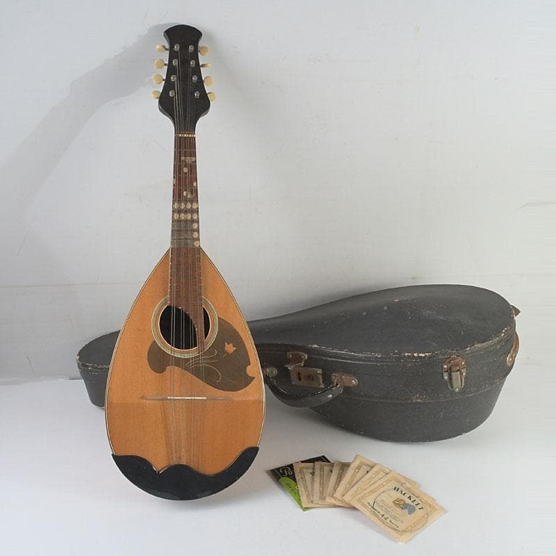 マンドリン　東京師道音楽学校責任制作　№C号　弦・ハードケース付　V　9417A