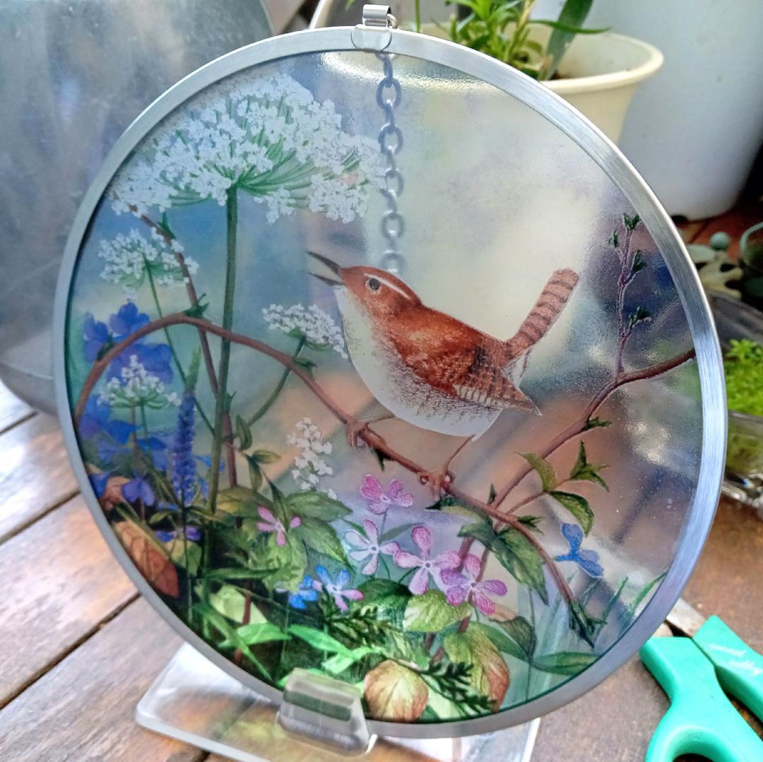 新品 花鳥・アメリカムシクイ スミレ サクラソウ カナダ・ステンドグラス社