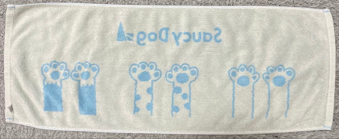 Saucy Dog まとめ売り