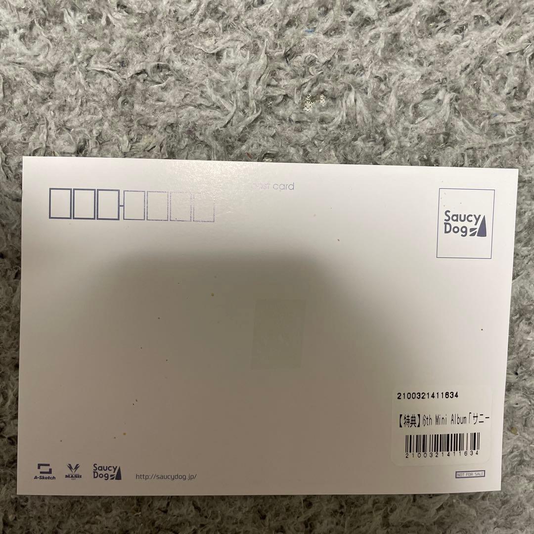 Saucy Dog まとめ売り