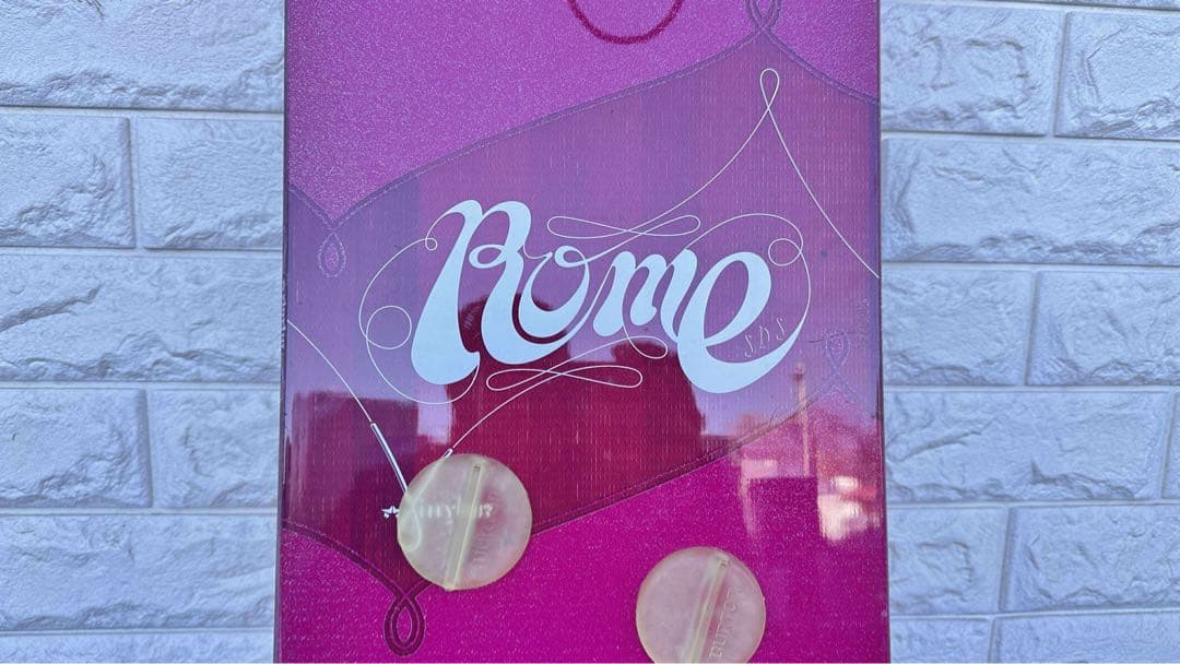 Rome SDS スノーボード　スキーゴーグル　ケース付き