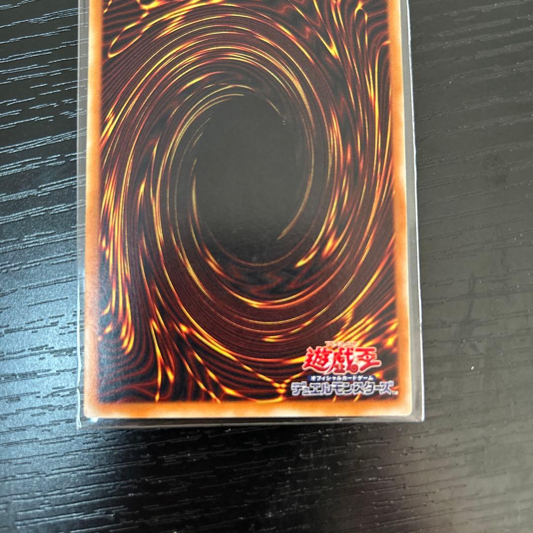 【gia-fenser】遊戯王 超魔導剣士　ブラック・パラディン　レリーフ