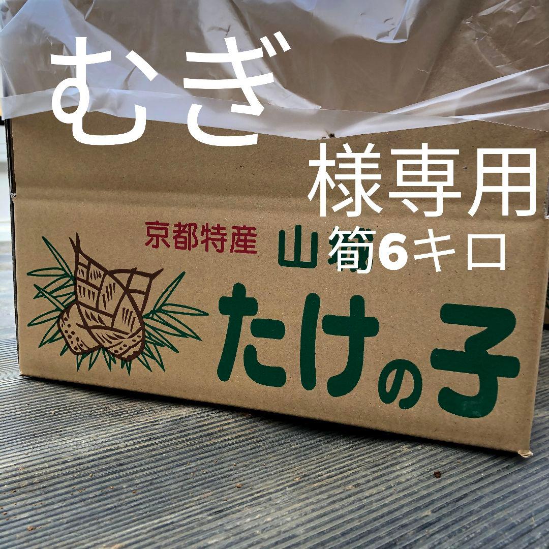 むぎ 筍6キロクール
