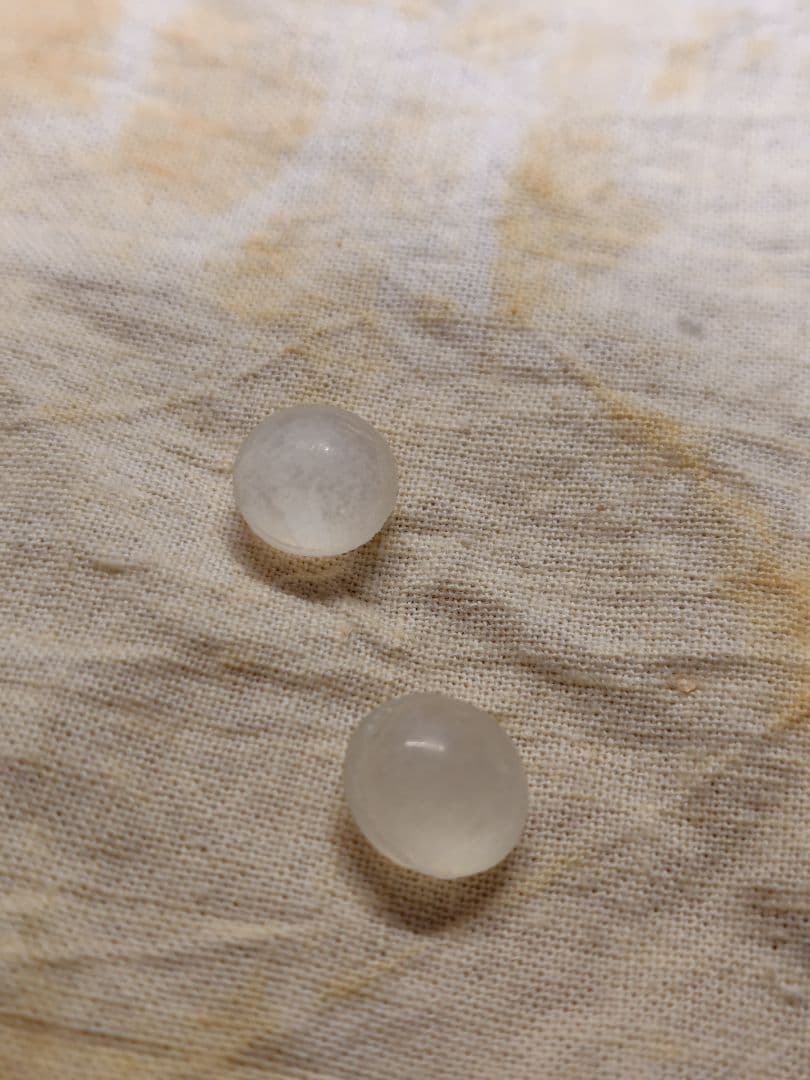 ギター WARM AUDIO ODD BOX v1