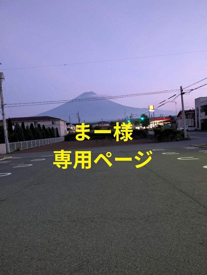山梨県産ぶどう　富士の輝　8房入り　箱込み約5.5kg