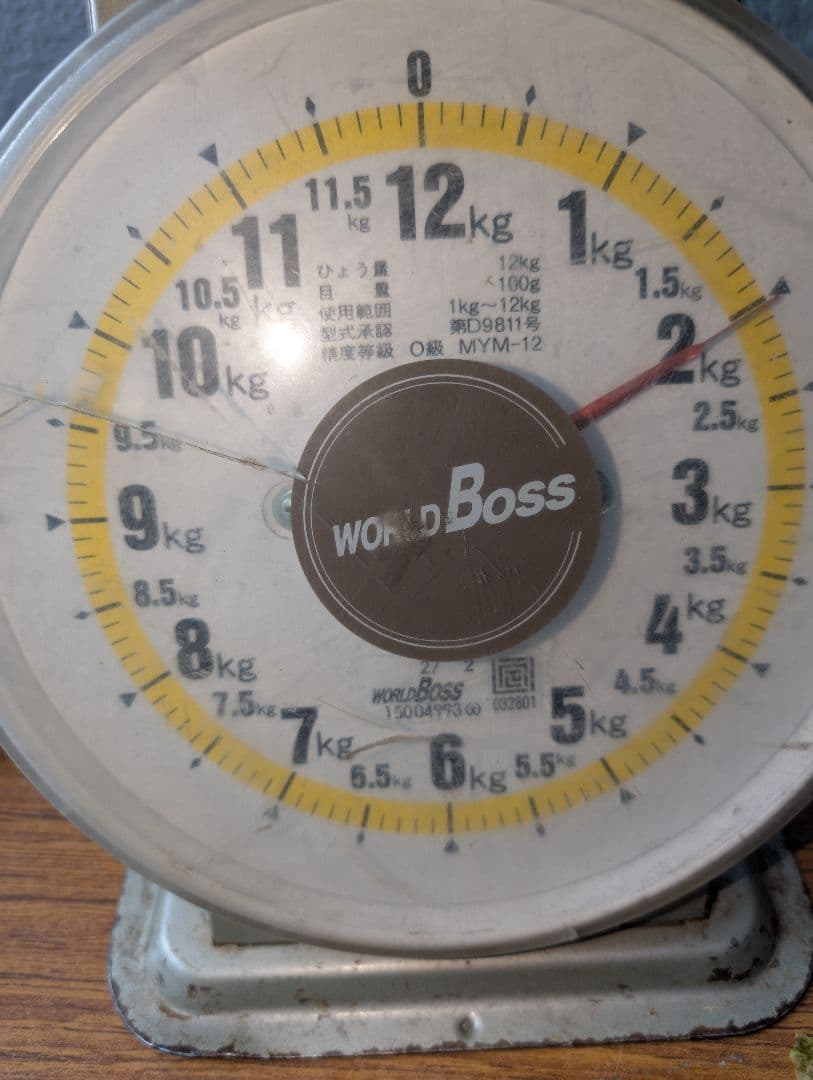 山梨県産ぶどう　富士の輝　8房入り　箱込み約5.5kg