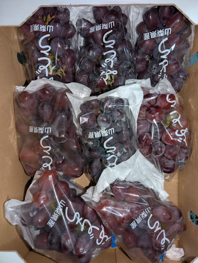 山梨県産ぶどう　富士の輝　8房入り　箱込み約5.5kg