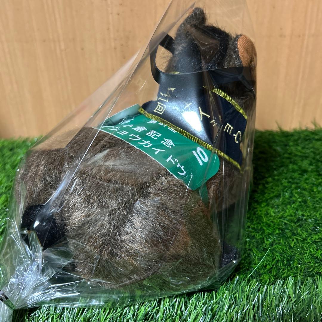 メイショウカイドウ　小倉記念　Sサイズ　競馬　ぬいぐるみ　（小倉三冠レイ付き）