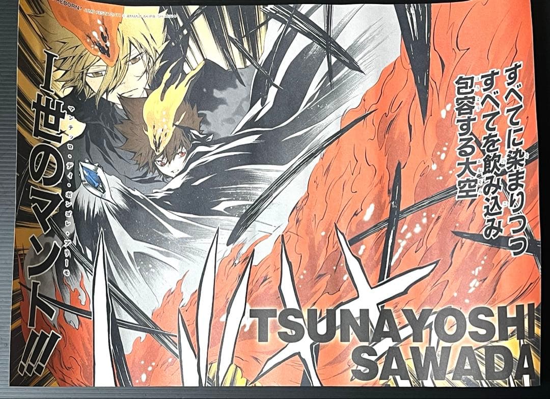 家庭教師ヒットマンREBORN! 名場面 ポスター ツナ 沢田綱吉