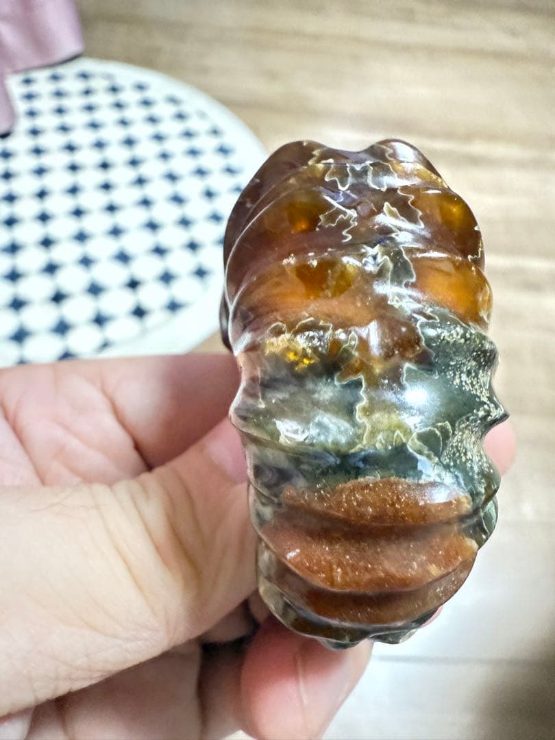 新品　マダガスカルのアンモナイト化石　超大　本物保証　おまけ付き　希少　送料無料