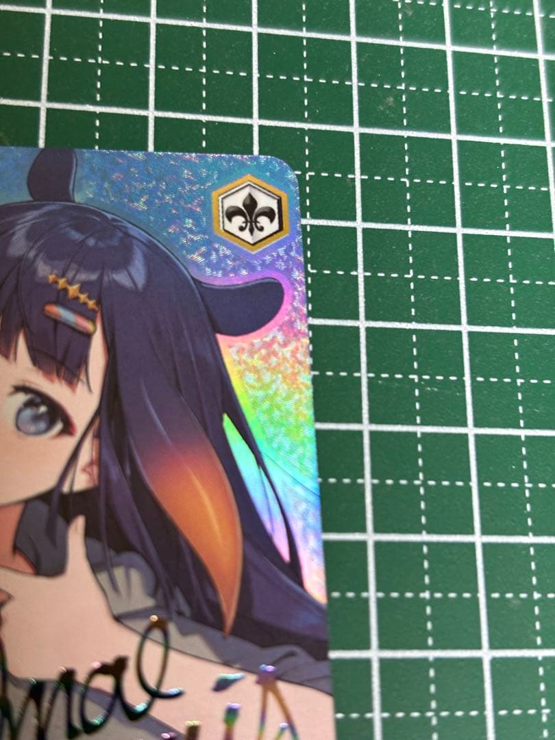 いなとタコグラム 一伊那尓栖 SSP、他2点 ヴァイスシュバルツ