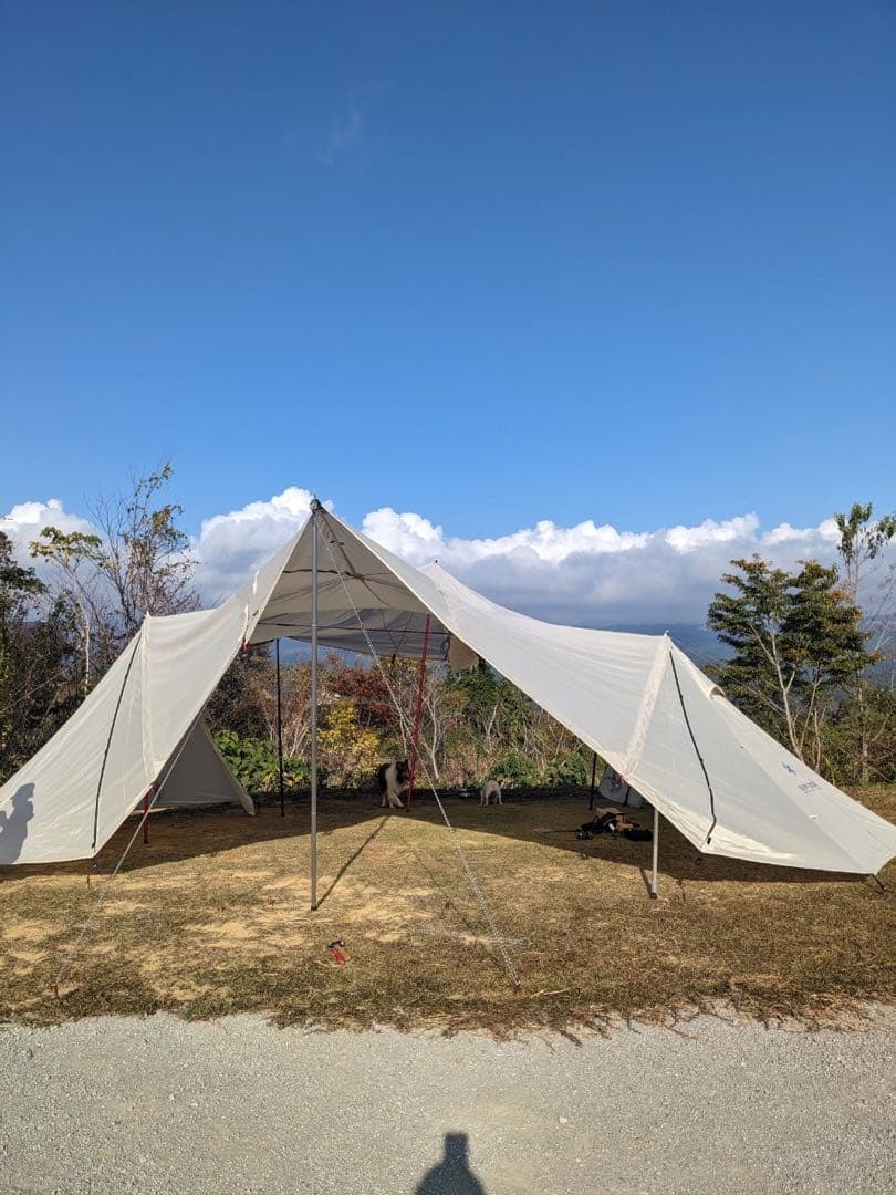 【二又ポール&跳ね上げポール付き】ランドステーションL アイボリー 二又付き