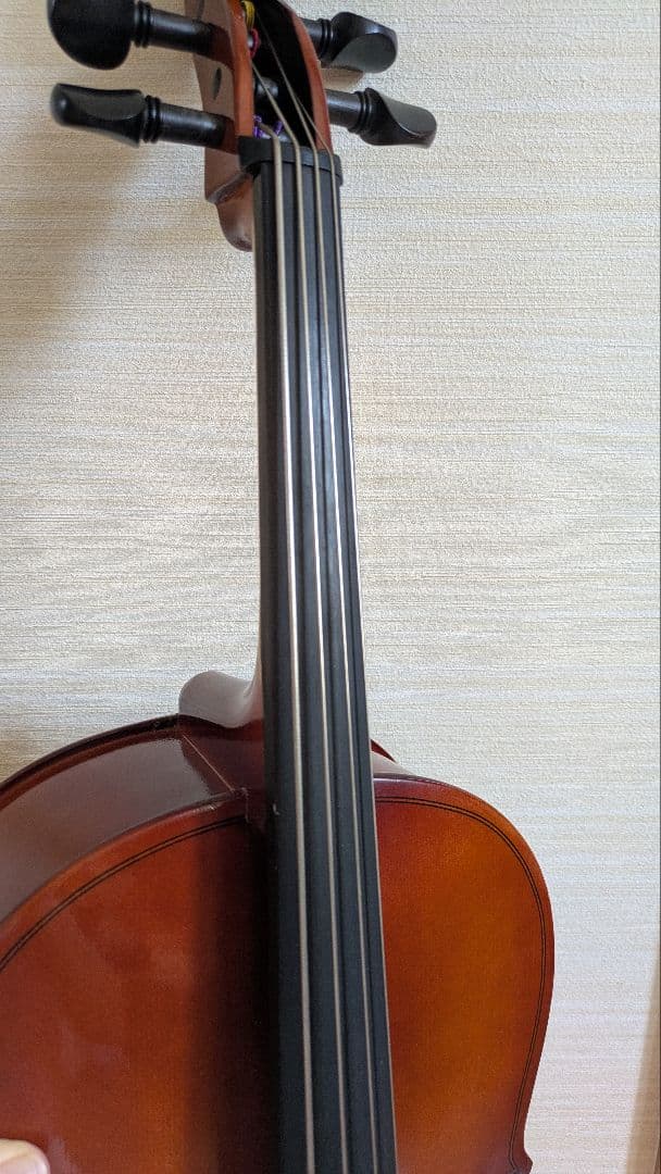 チェロ カルロジョルダーノ 1/8　ソフトケース付き