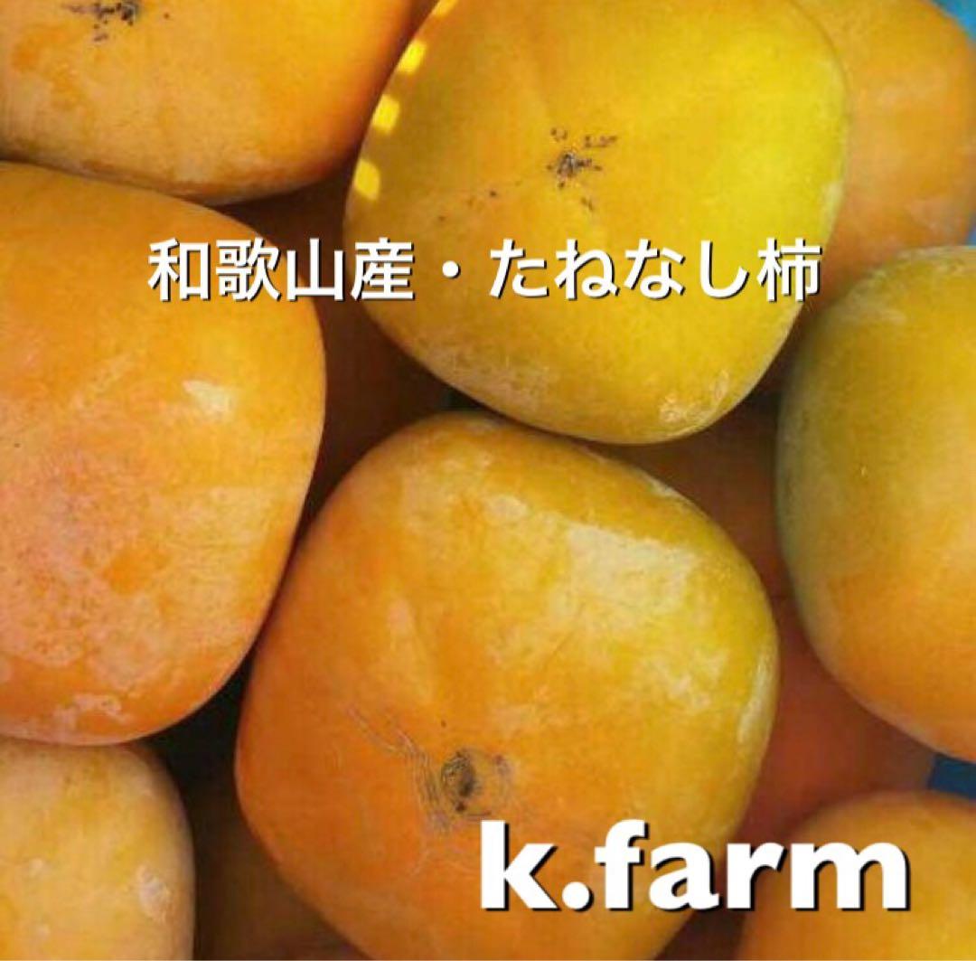 ゆてぃ様 和歌山産 たねなし柿
