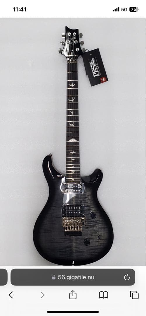 v*s様 PRS SE Custom24 Floyd charcoal burs