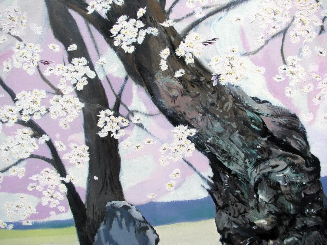 川島眞佐「石部桜」M50号油彩,会津の有名桜,見事な枝ぶり描写,晴れやかな大傑作