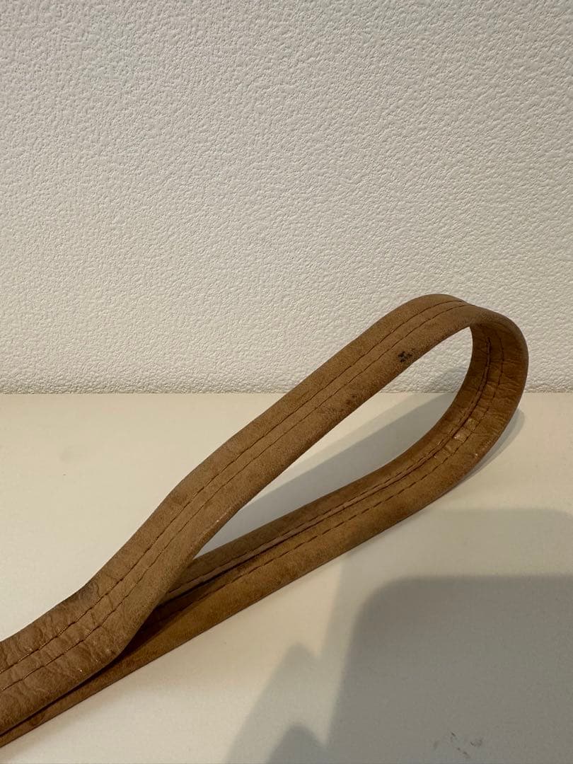 RAINBOW SANDALS DOG LEASH プレミアレザー