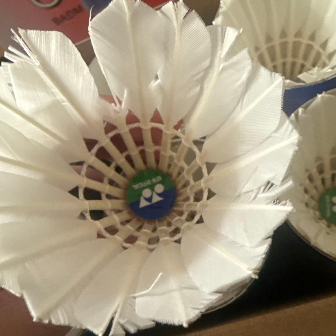 バドミントンシャトル　ニューオフィシャル　基礎打ち用(130球)