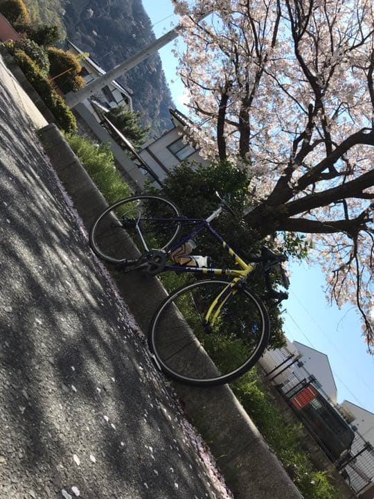 パナモリフレーム