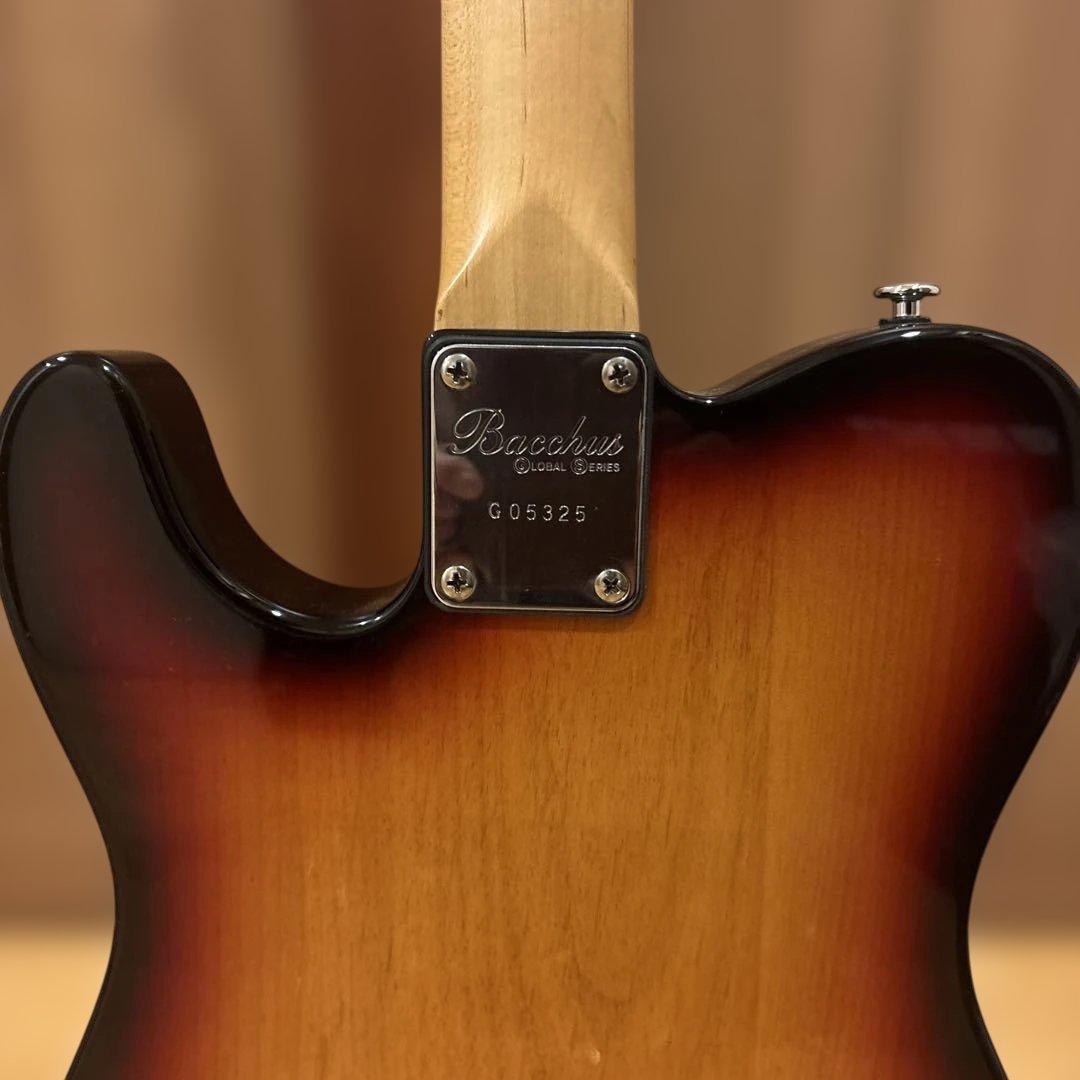 バッカス Bacchus GLOBAL SERIES テレキャスター ケース付
