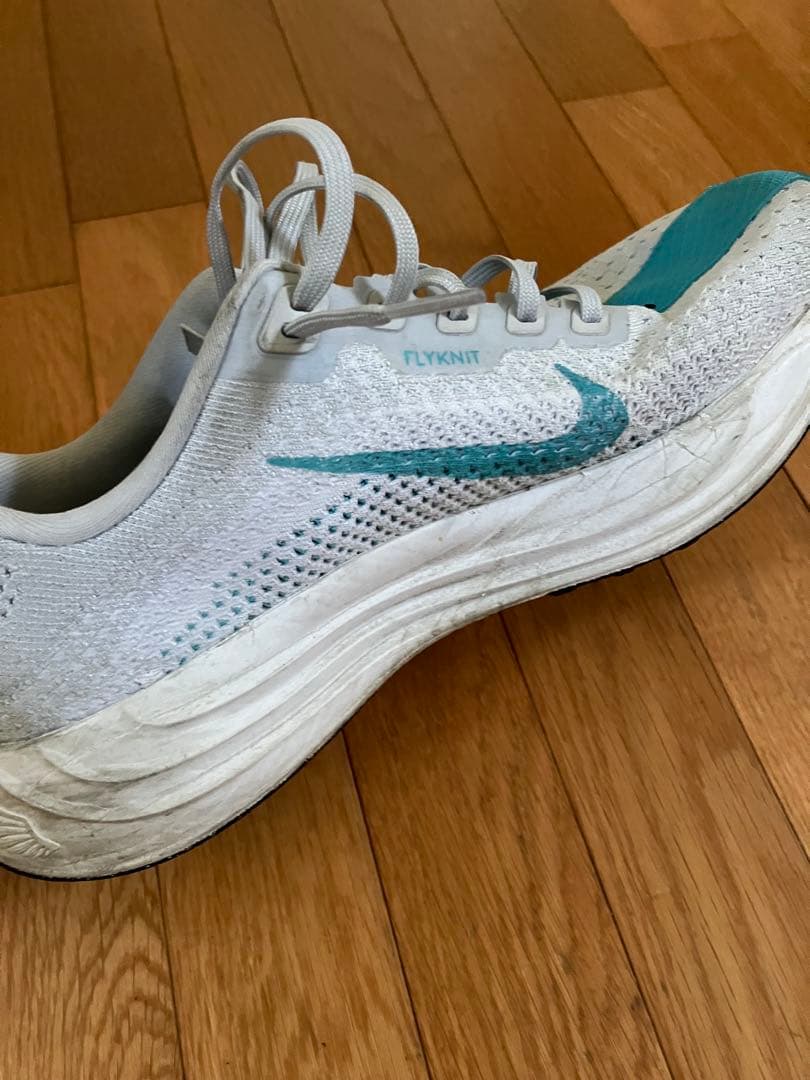 Nike ペガサスプラス 25cm