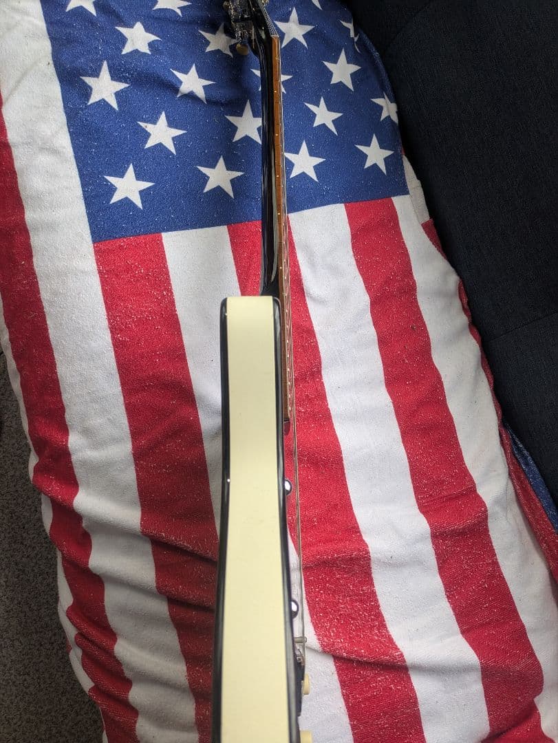 ジミー・ペイジ愛用！　Danelectro エレキギター