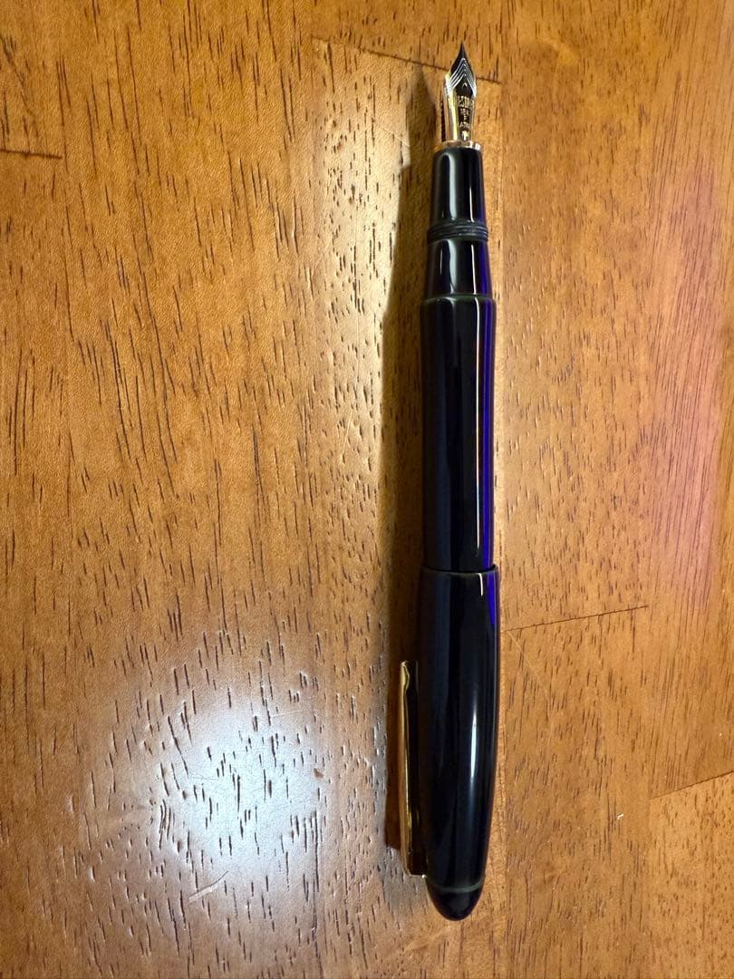 プラチナ万年筆 出雲 溜塗り『空溜』細字 PIZ-55000