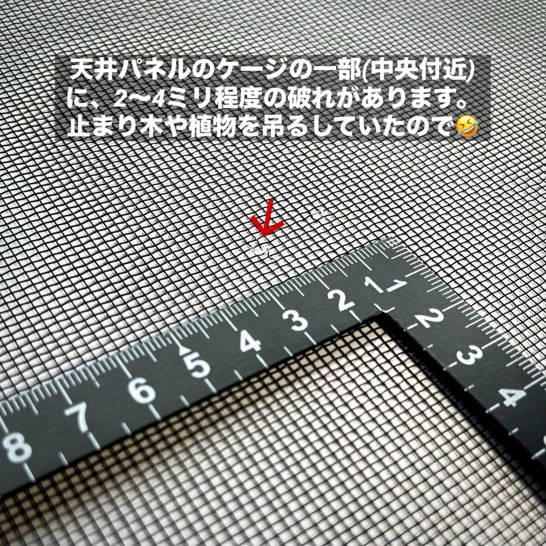 爬虫類 飼育・鑑賞用ケージ⭐️金網メッシュ／45×45×60cm