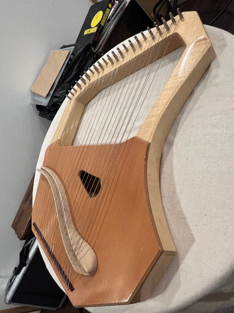 美品！コロイ社のソプラノライアー35弦　ケース付き