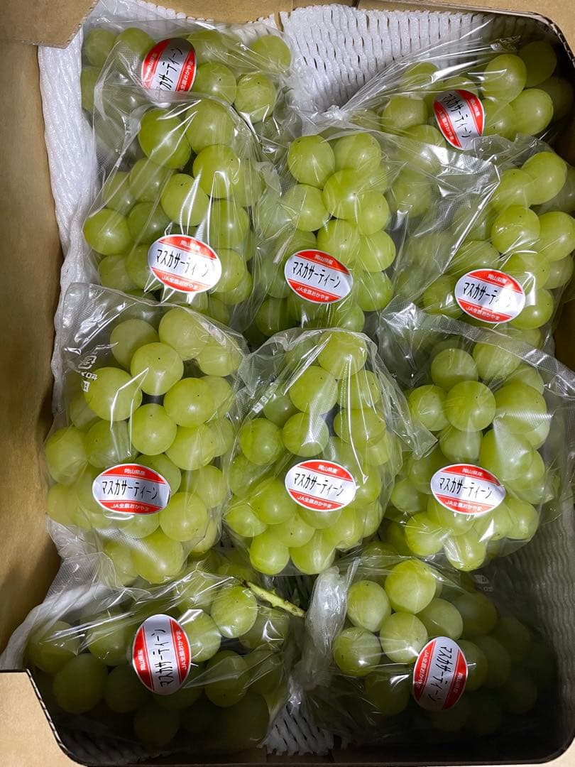 ③ 【岡山県産】マスカサーティーン(葡萄)9〜10房 約5キロ