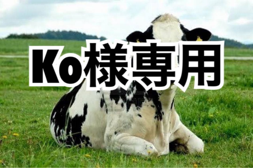 貼り付けGOLD5、ハミダシ白10、ブラウン20