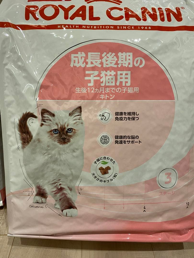  CANIN 子猫用ドライフード　キトン 10kg