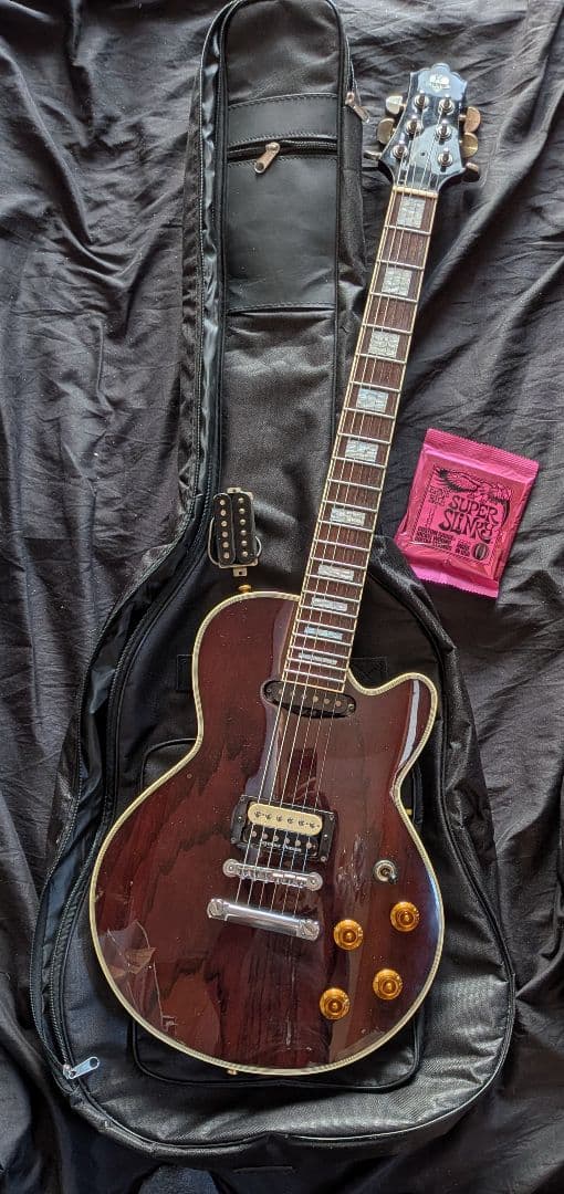 FUJIGEN・エレキギタ★SEYMOUR DUNCAN