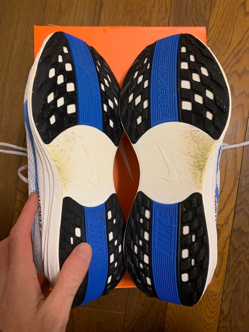 ナイキ ペガサスプラス 29cm