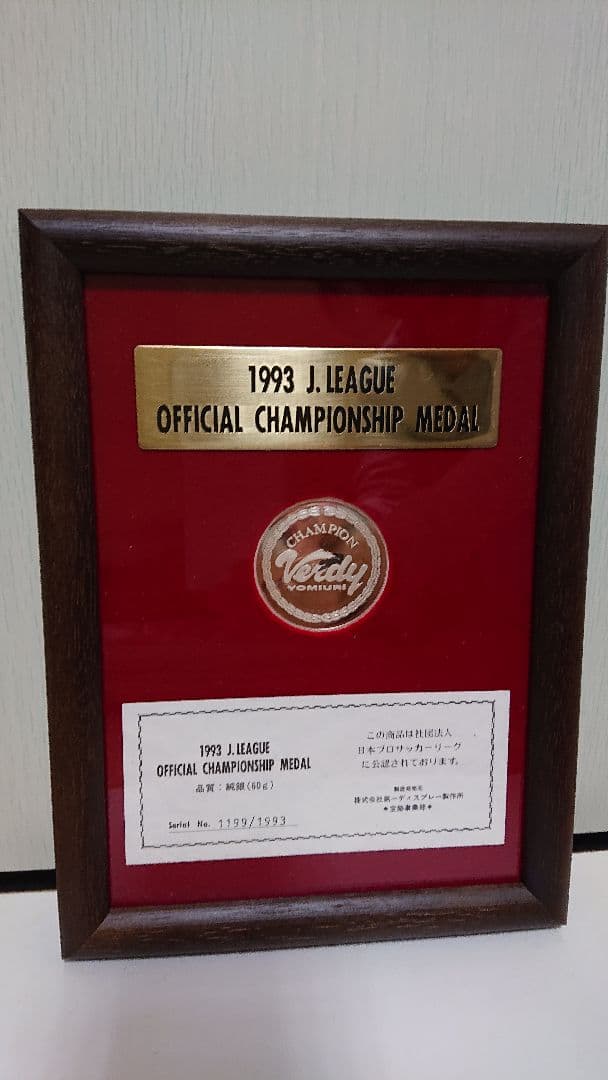 Jリーグ記念メダル