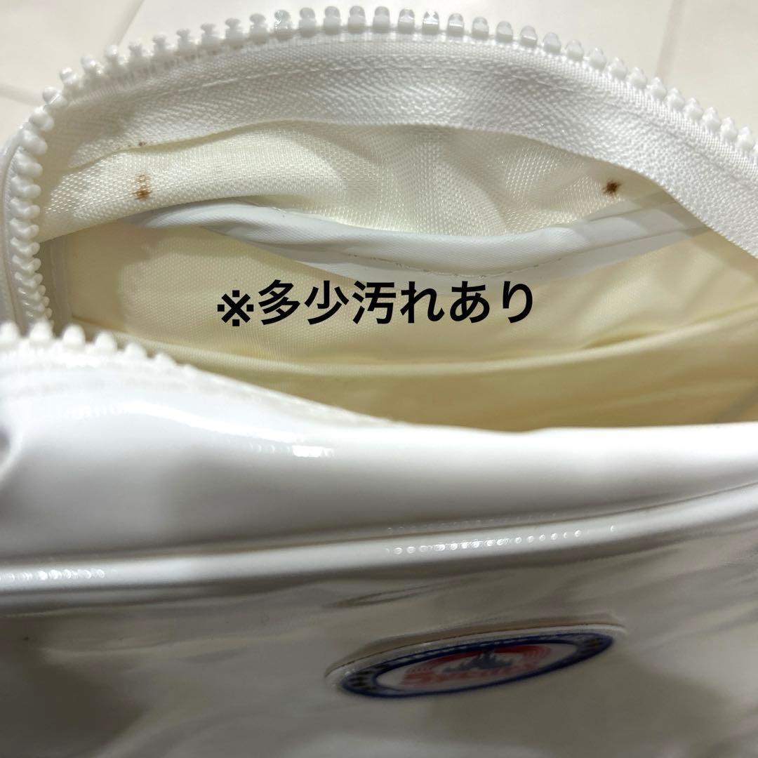 Disneyland five years bag ディズニー5周年記念バッグ