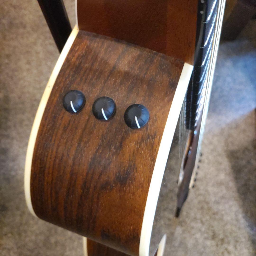 Taylor 214ce エレアコ (管理キワ)