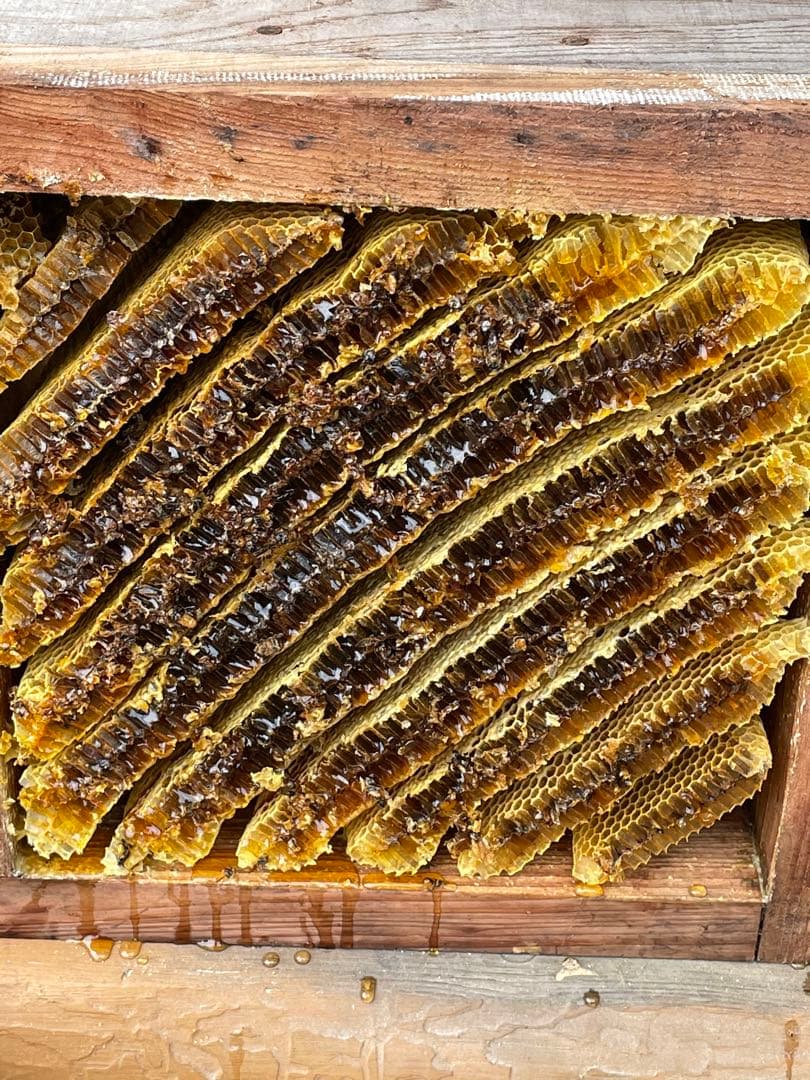 日本蜜蜂重箱式巣箱！ハニーズハウス！超訳あり特価！ニセット！送料無料！