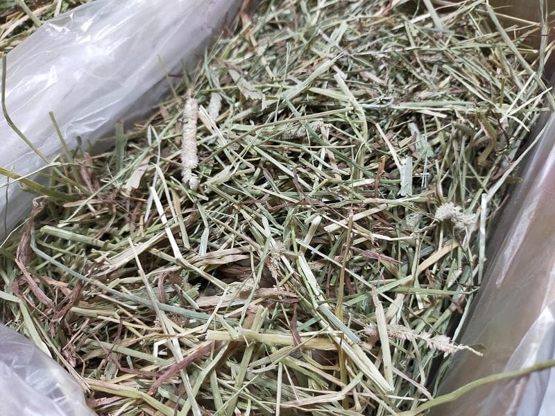 (2/23まで) カナダ産 チモシー 120kg スーパープレミアム １番刈