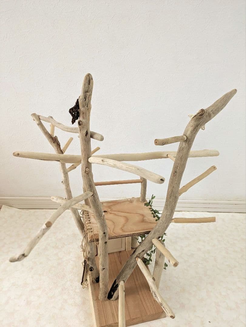 バードアスレチック65流木 バードジム　バードトイ　扉を開けて