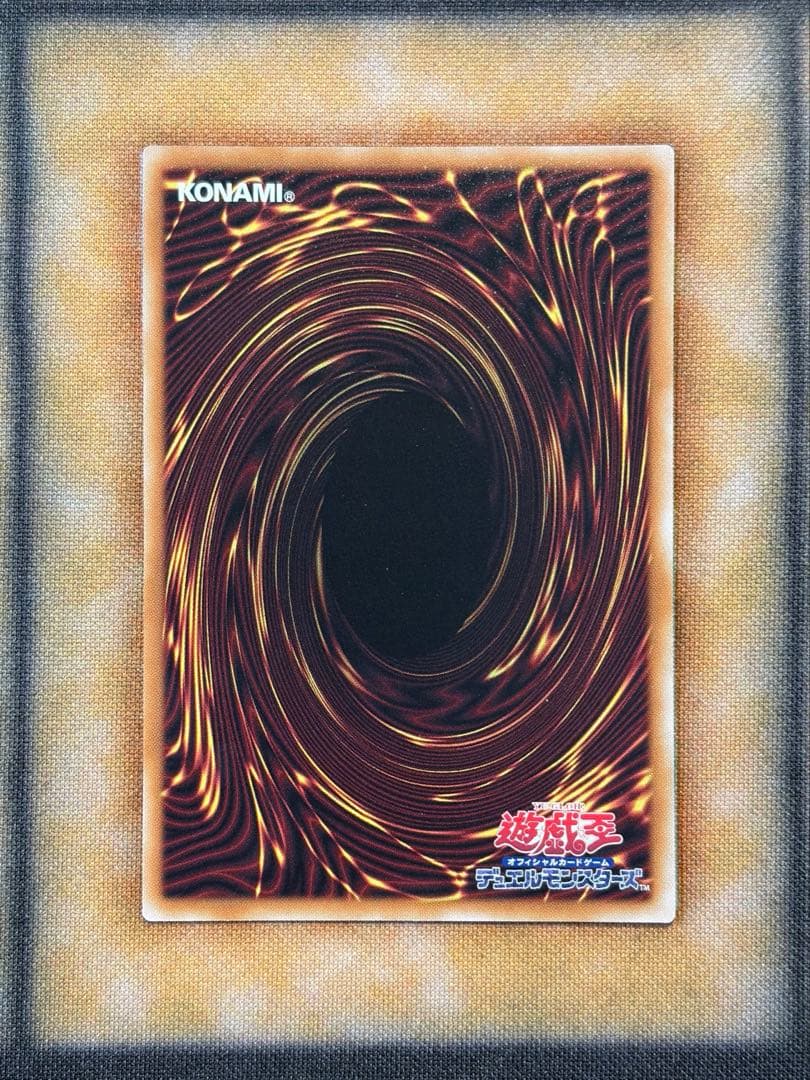 調和ノ天救竜　フィドラウリス＝ハルモニア②