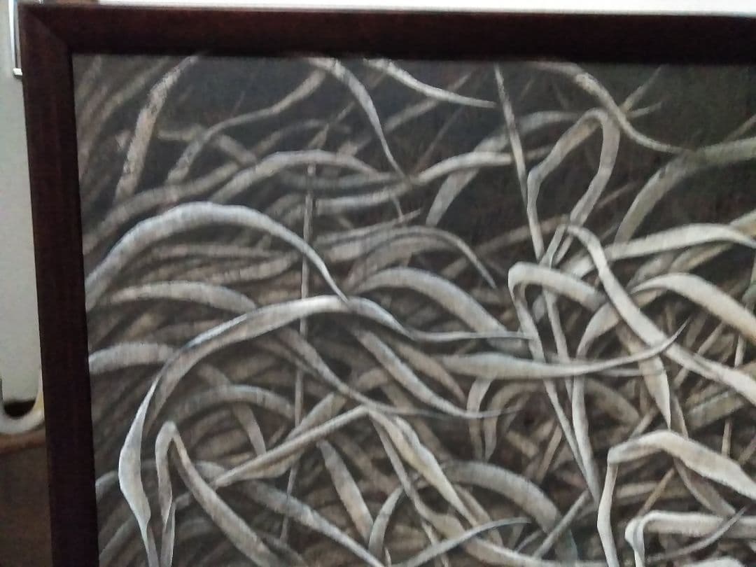 日本画(33)　すすき