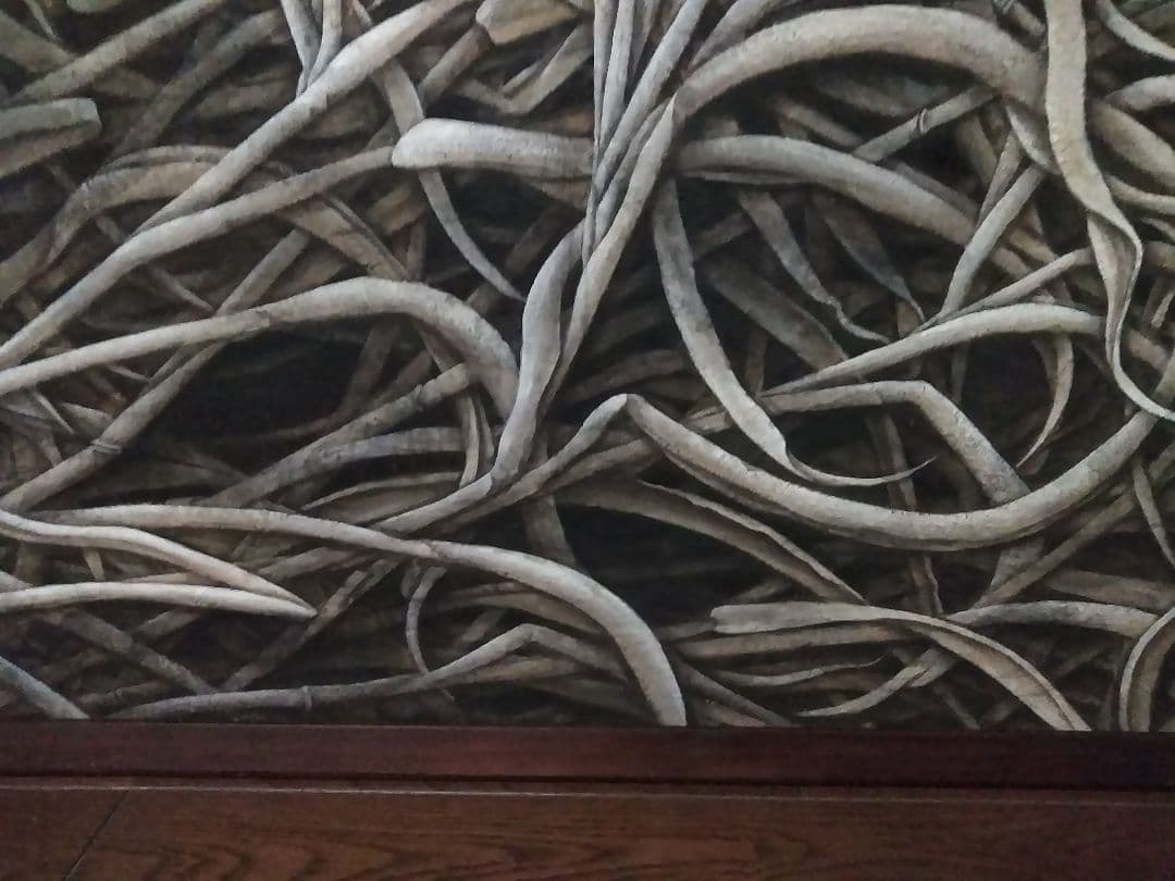 日本画(33)　すすき