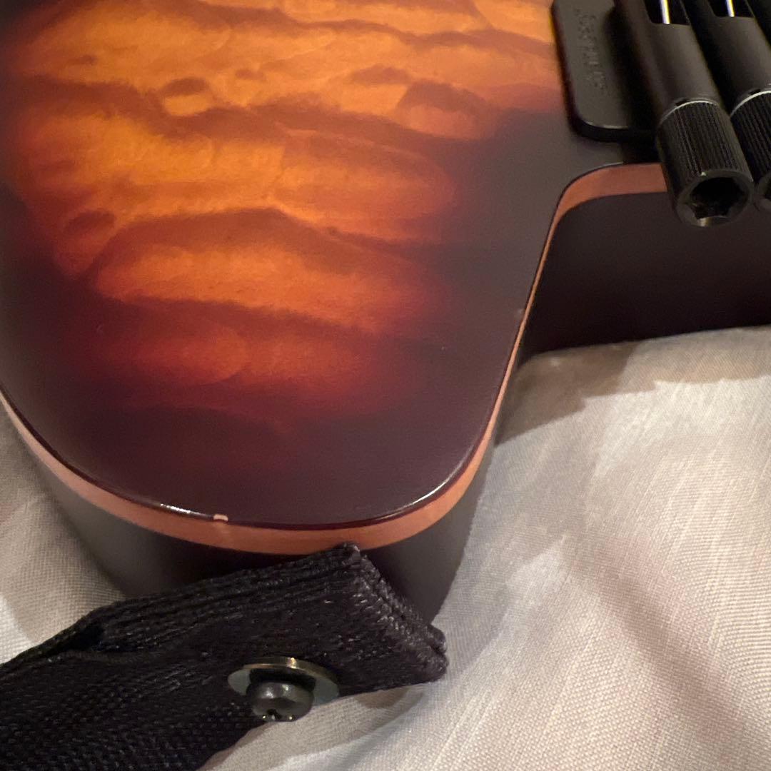 ギター strandberg Boden Standard 6