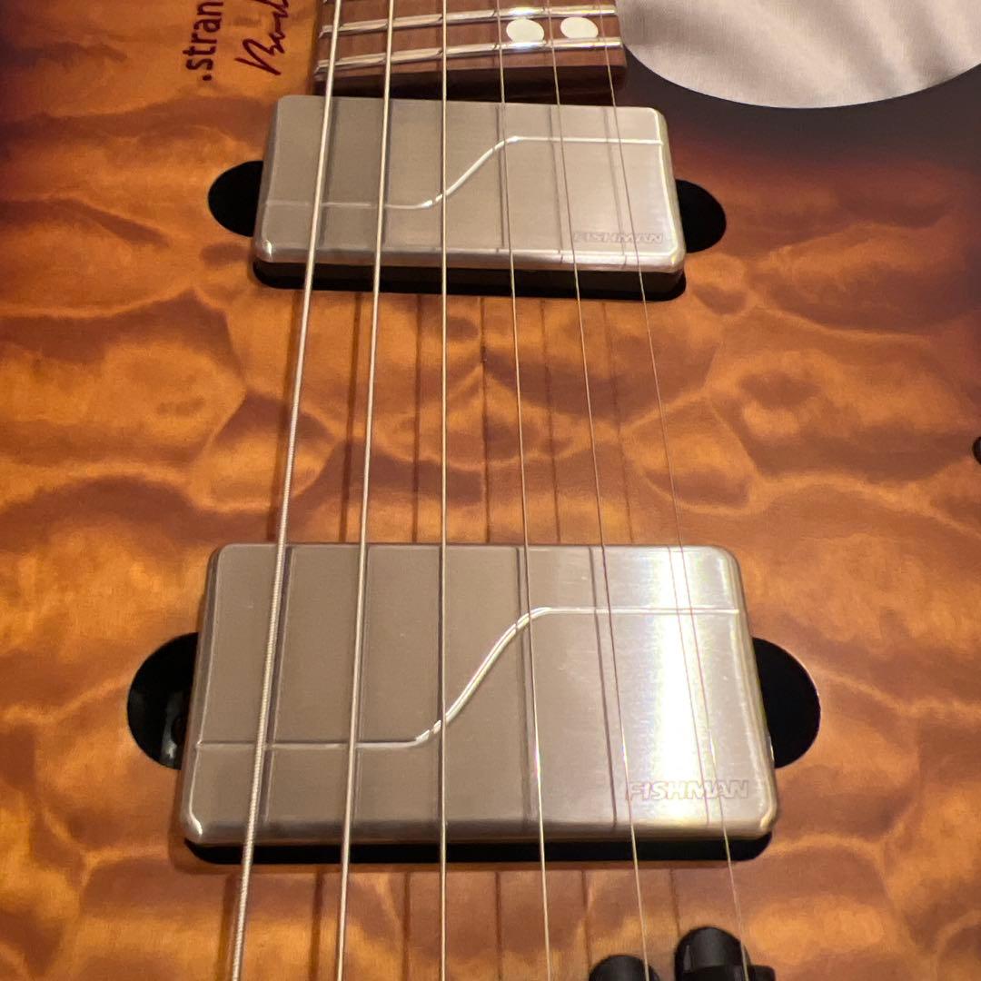 ギター strandberg Boden Standard 6